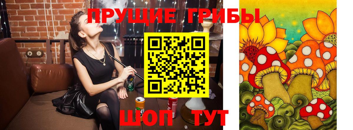 Псилоцибиновые грибы Psilocybine cubensis Магадан